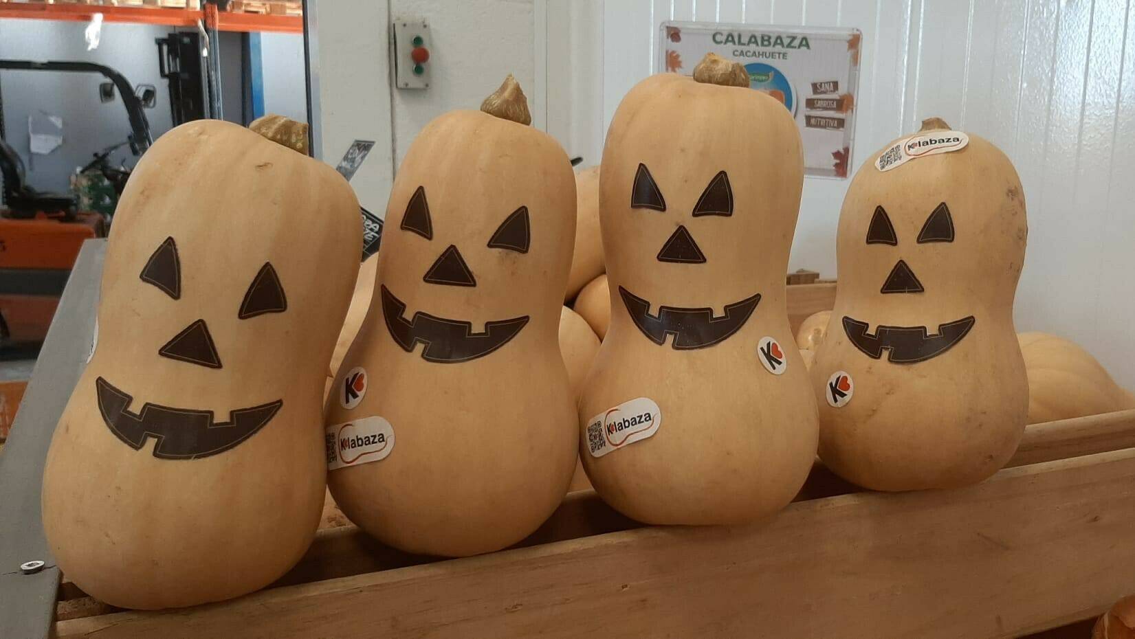 LOVE_KLABAZA_1|LOVE_KLABAZA_4|LOVE_KLABAZA_3